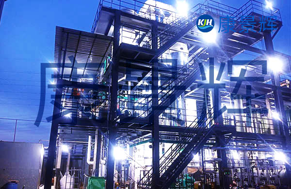 6T/H的滲濾液蒸發(fā)結(jié)晶系統(tǒng)